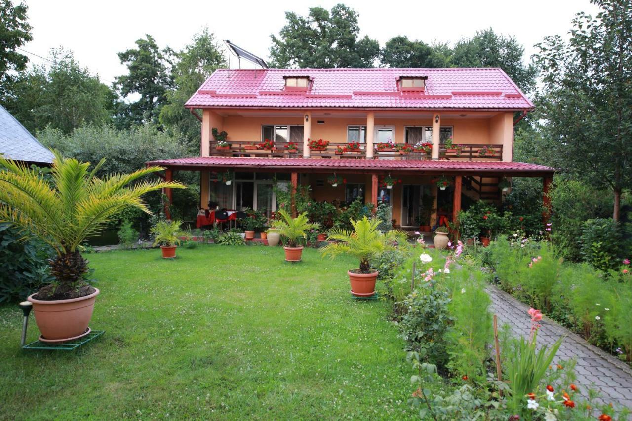 Pensiunea Criveanu Horezu Exterior foto