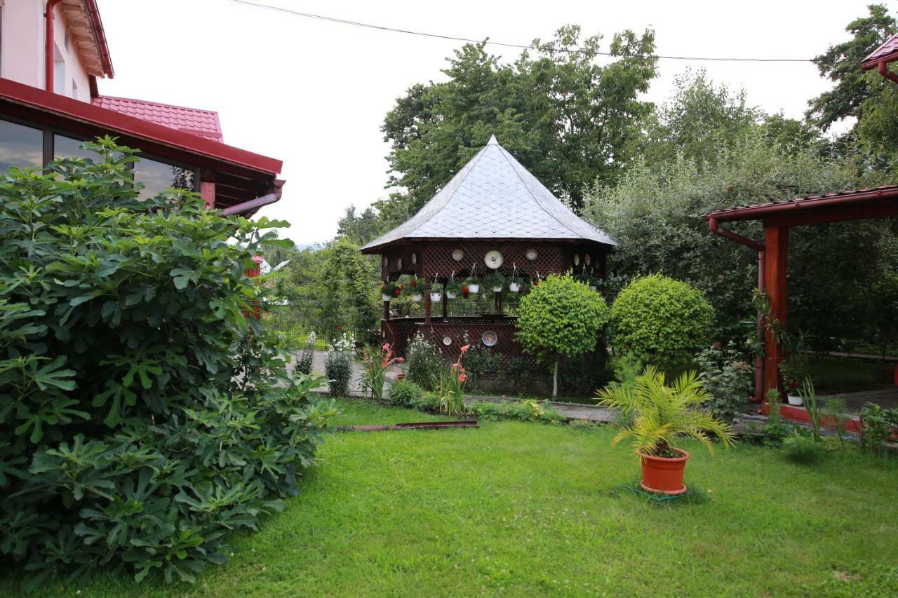 Pensiunea Criveanu Horezu Exterior foto