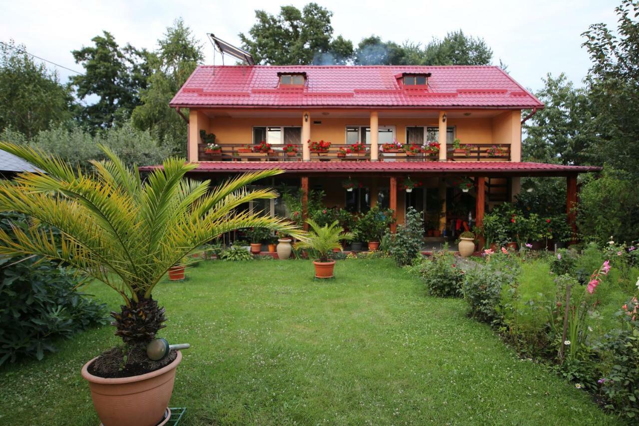 Pensiunea Criveanu Horezu Exterior foto