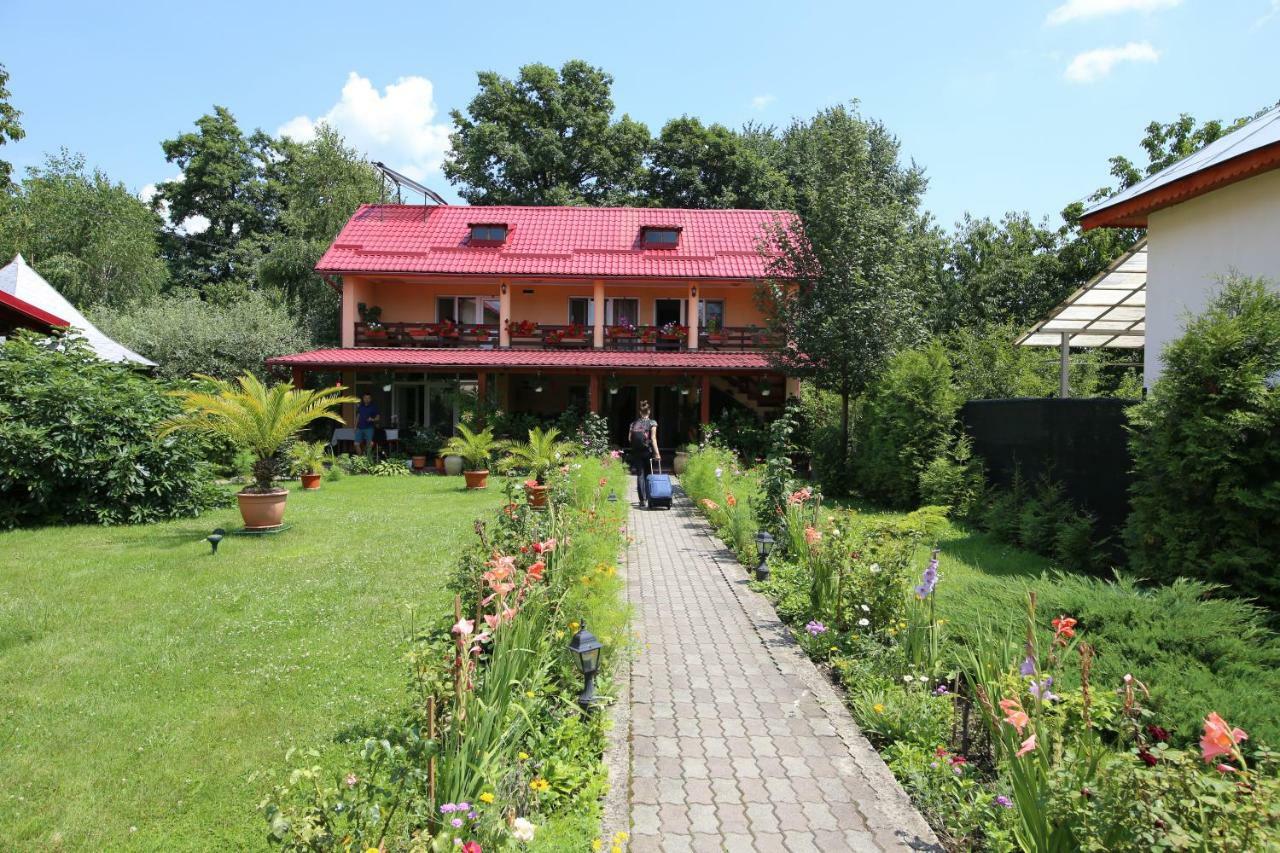 Pensiunea Criveanu Horezu Exterior foto