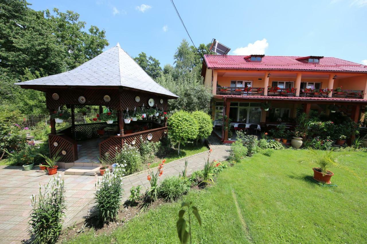 Pensiunea Criveanu Horezu Exterior foto