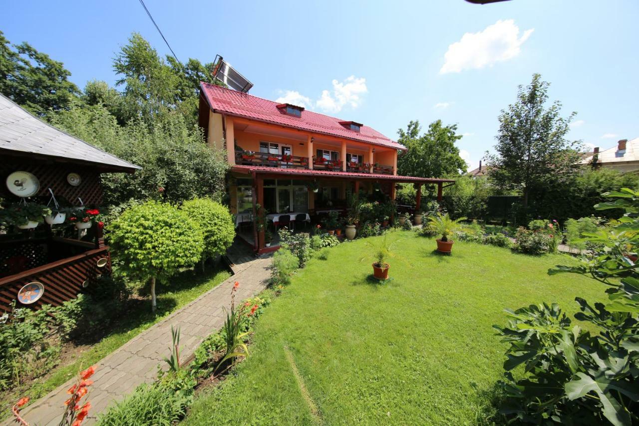 Pensiunea Criveanu Horezu Exterior foto